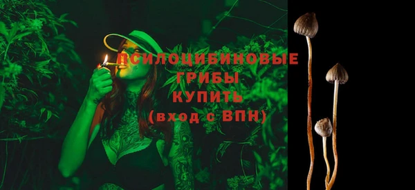 трава Бронницы