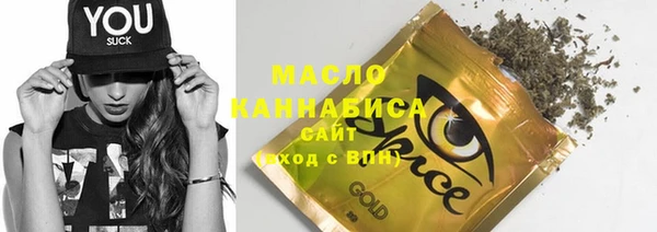 дмт Бородино