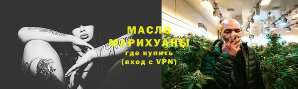 дмт Бородино