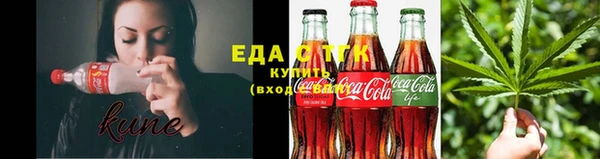 дмт Бородино