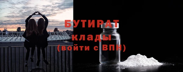 дмт Бородино