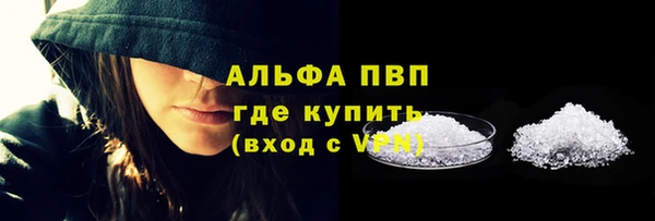 дмт Бородино