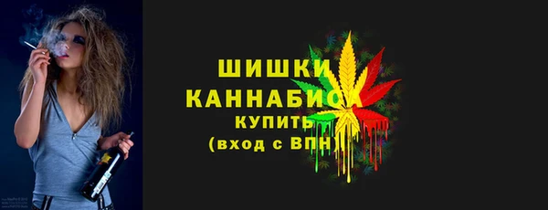 дмт Бородино
