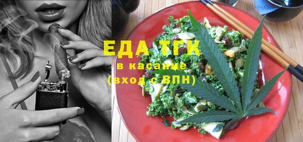 дмт Бородино