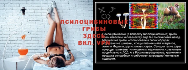 трава Бронницы