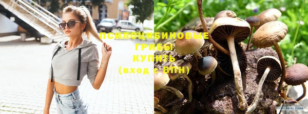 дмт Бородино