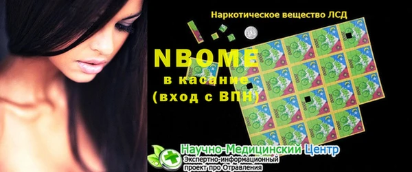 дмт Бородино